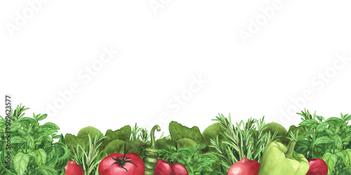 Border with rosemary, basil, tomatoes, chili and bell pepper. Watercolor frame. Illustration for template, menu, poster