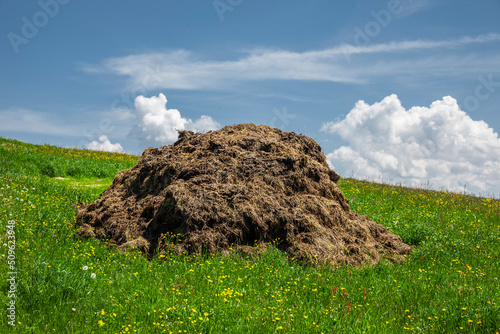 Misthaufen auf einer Bergwiese in den Alpen