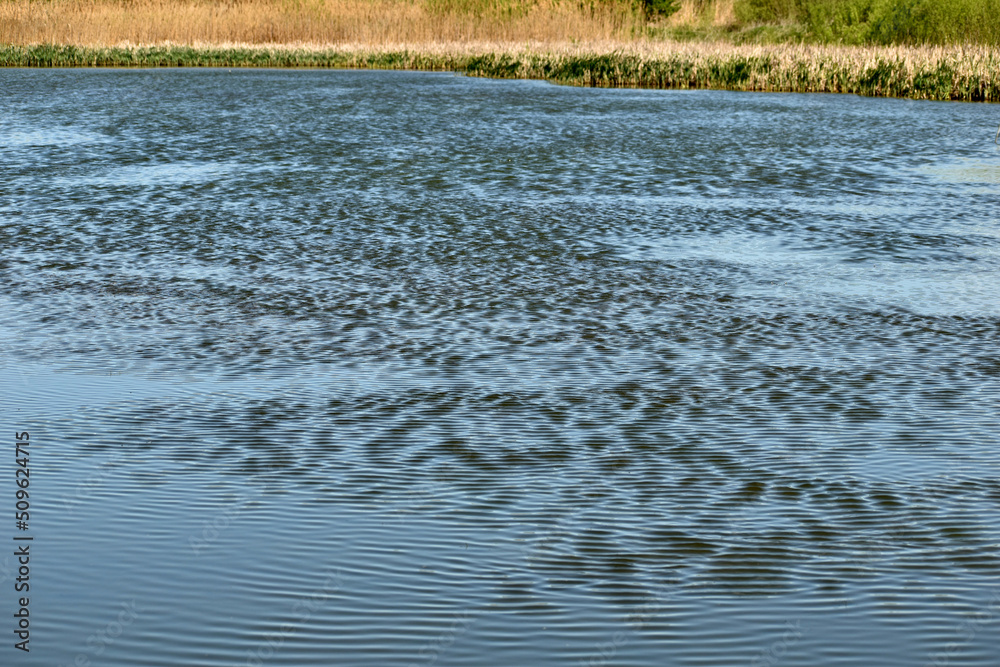 The surface of the lake is covered with not high waves. The surface of the lake is covered with not high waves.