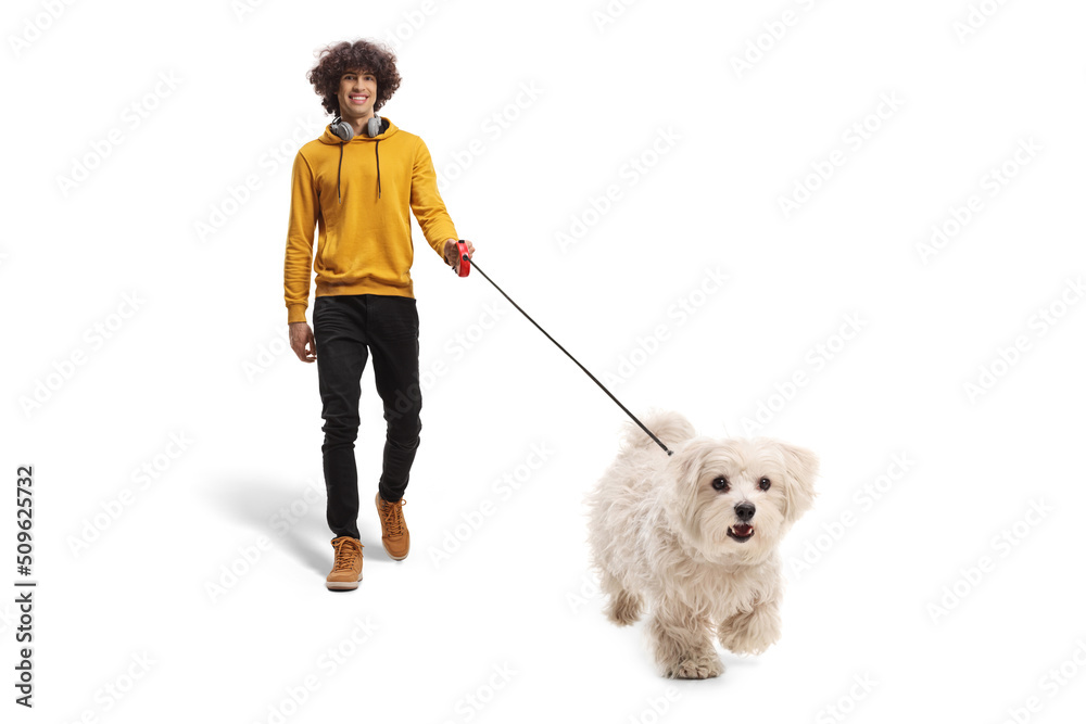Guy with headphones walking a maltese poodle dog on a lead Guy with headphones walking a maltese poodle dog on a lead