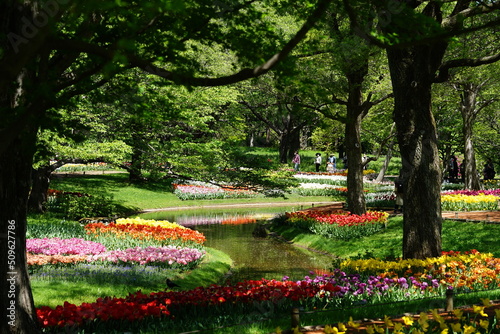 描いたような世界、公園の一角