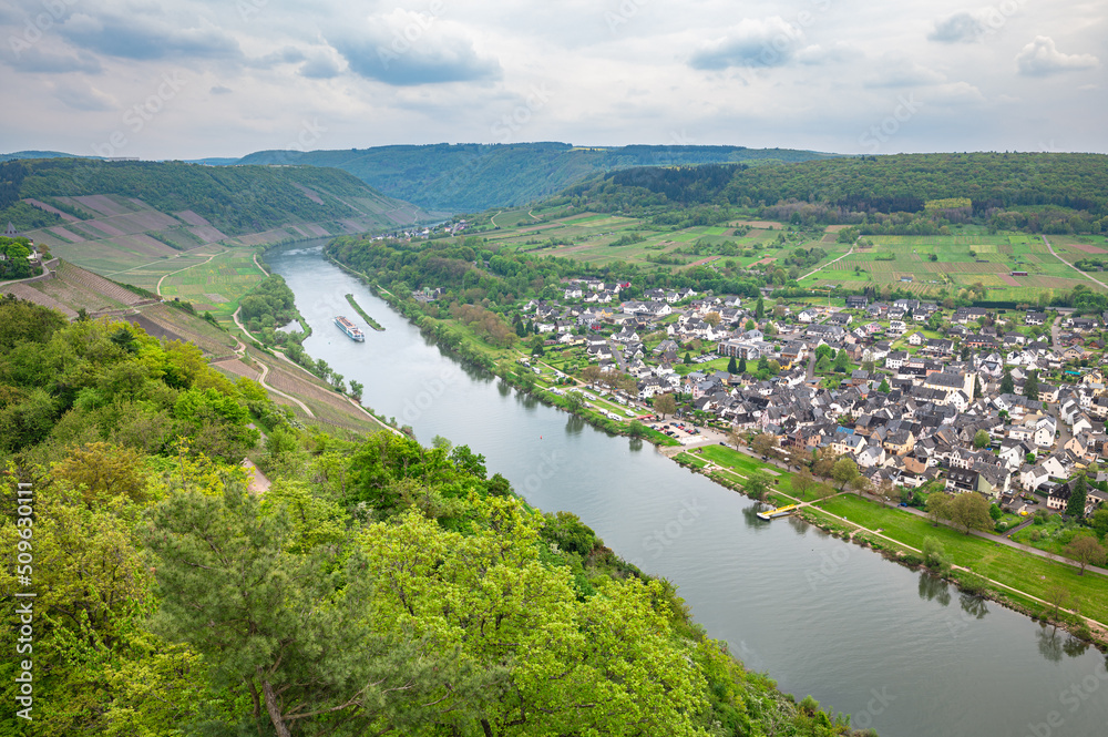 Aerial view of boats in the Mosel river, state of Rheinland-Pfalz, Germany