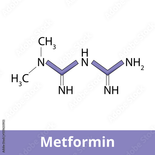 Chemical structure of metformin. Metformin is the main first-line medication for the treatment of type 2 diabetes particularly in people who are overweight.