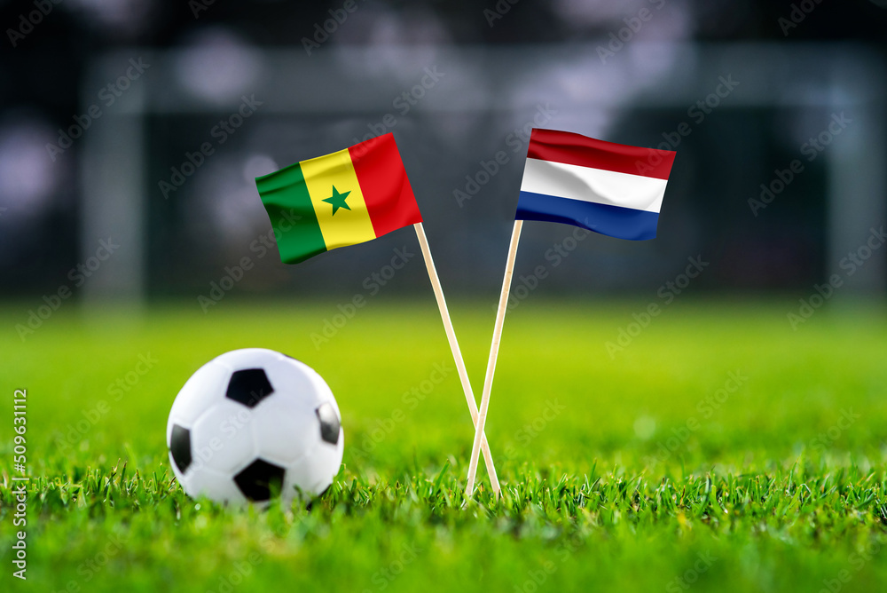 Fototapeta premium Senegal vs. Netherlands, Al Thumama, Football match wallpaper, Handmade national flags and soccer ball on green grass. Football stadium in background. Black edit space.