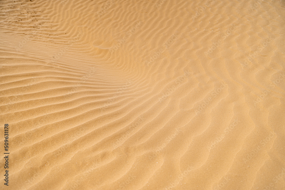 sand and wind pattern on beautiful yellow white sand in high resolution with slight blur sand and wind pattern on beautiful yellow white sand in high resolution with slight blur