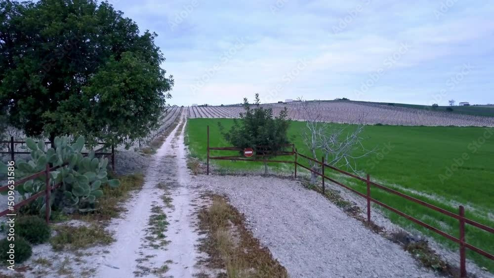 drone shoot low into vineyards, fields trees and small house on a winter in Cádiz,Spain with green vegetation, vineyards without grapes during an insane purple and orange sunset with purple clouds drone shoot low into vineyards, fields trees and small house on a winter in Cádiz,Spain with green vegetation, vineyards without grapes during an insane purple and orange sunset with purple clouds