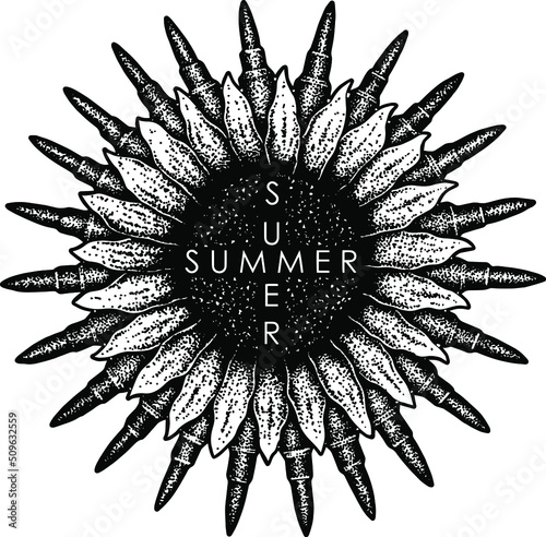 new summer day in the world