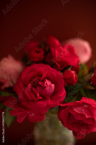 Red roses on a dark red background