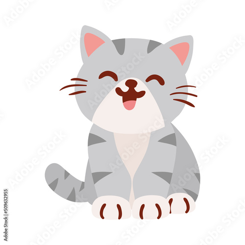 gray cute cat