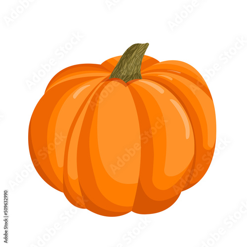 Vector illustration of an orange autumn pumpkin.