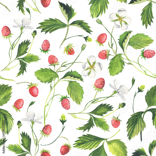 Wild Strawberry Seameless Pattern. Watercolor. photo