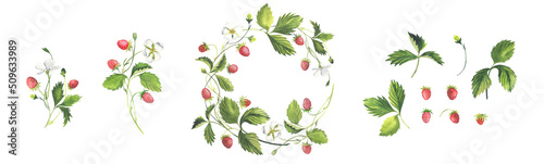 Slika na platnu Wild Strawberry Wreath, Sprig, Leaves, Berries. Watercolor.