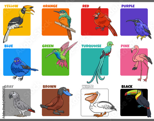 basic colors set with cartoon birds animal characters