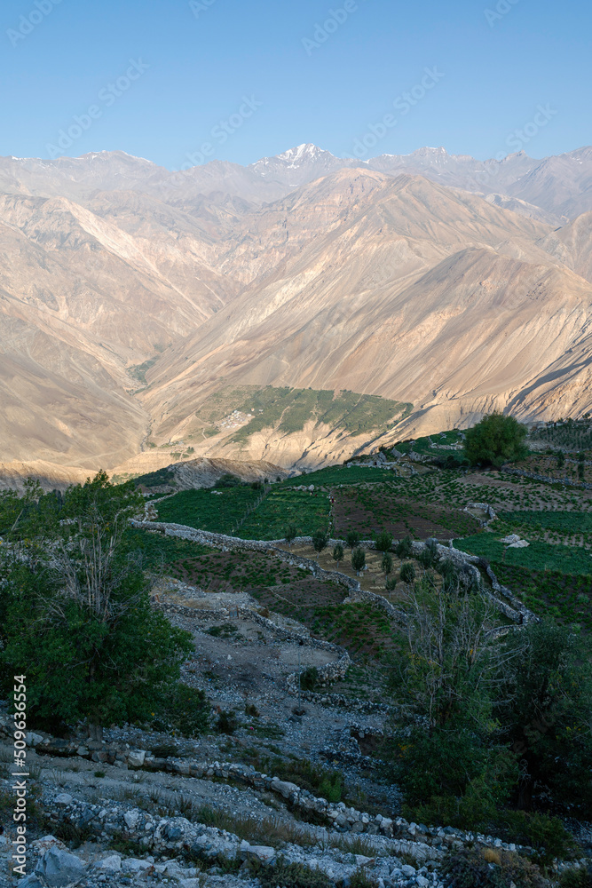 Naklejka premium Elevated view of village farmland demarcated by dry stone walls acrossed terraced fields out towards Himalaya mountains in Nako, India.