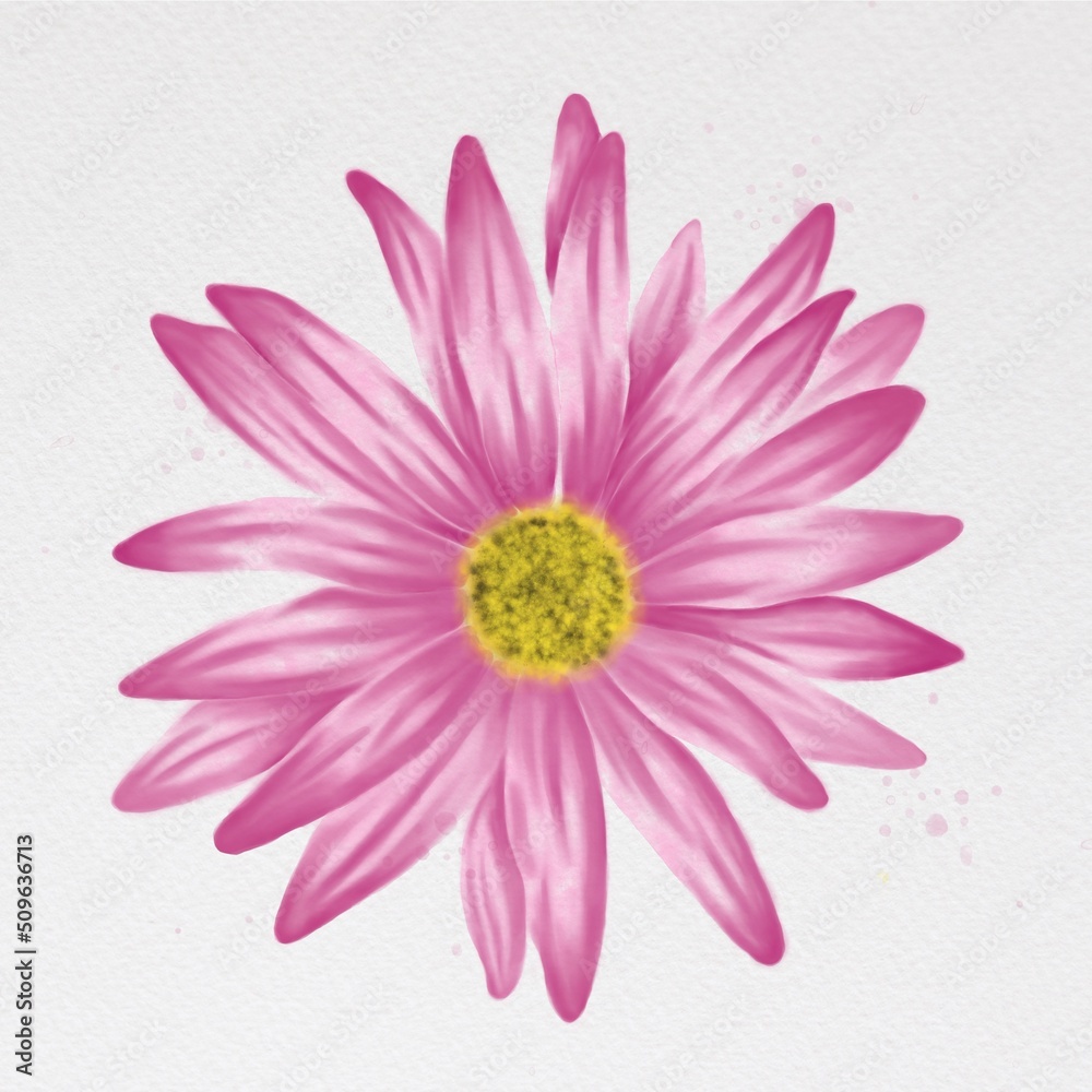 watercolor flowers isolated on white background watercolor flowers isolated on white background