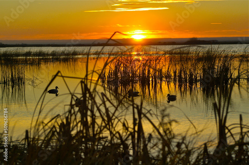 Sunset on a Saskatchewan lake  © Verbbaitum