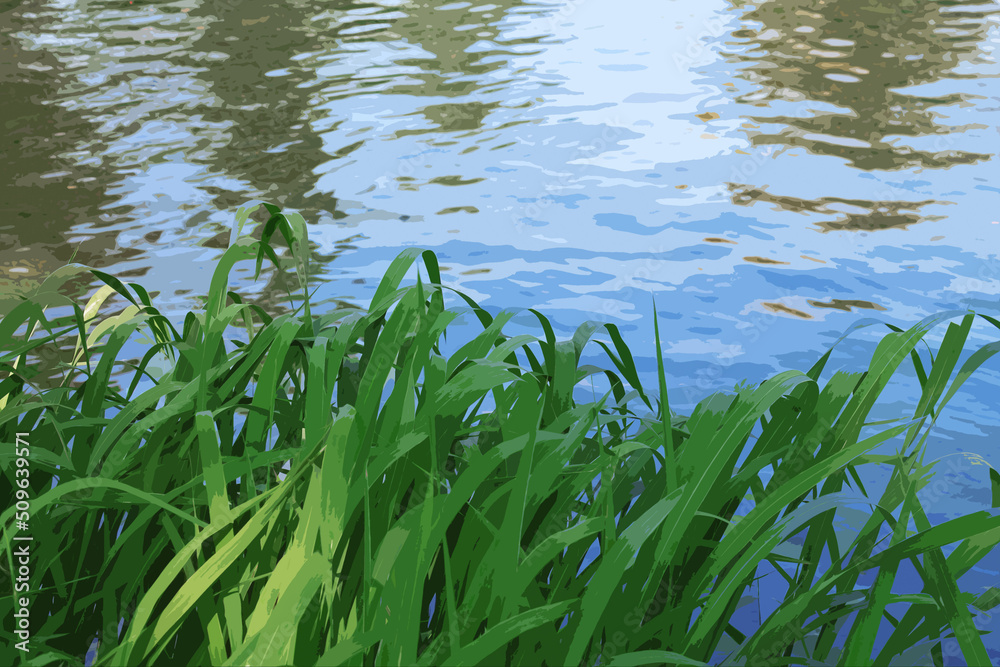 Obraz premium illustration green grass on the background of water