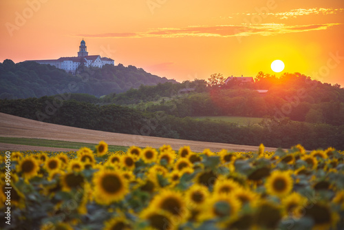 Pannonhalma Archabbey with sunflowers field on sunset time in Hungary