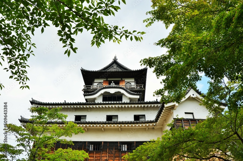 Obraz premium 犬山城 天守閣と付櫓