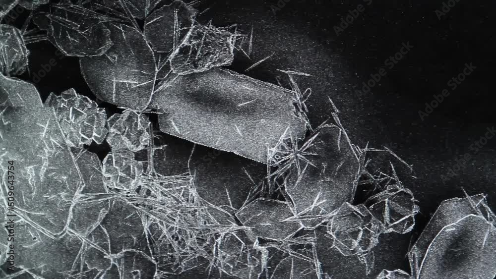Magnified Image taken on a Scanning Electron Microscope (SEM). 4K Resolution.