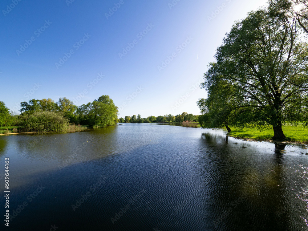 Fototapeta premium landscape with river