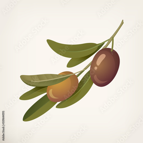 Purple green olives, greek olives almond shape.