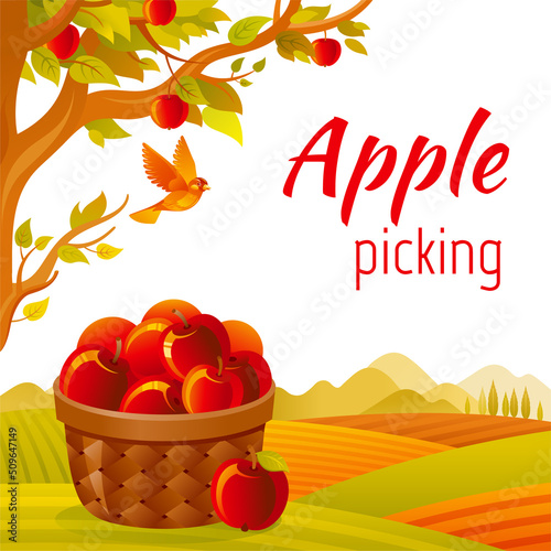 Apple basket in orchard. Fruit farm vector. Apple picking in fall garden vector. Cartoon agriculture harvest landscape with autumn tree and basket. Vintage summer or fall landscape with quote