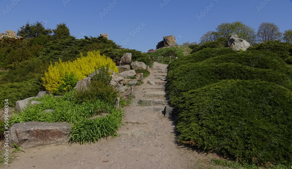 Landscape design. Hills with various kinds of plants and flowers, spring 2017, Botanical Garden, Ukraine