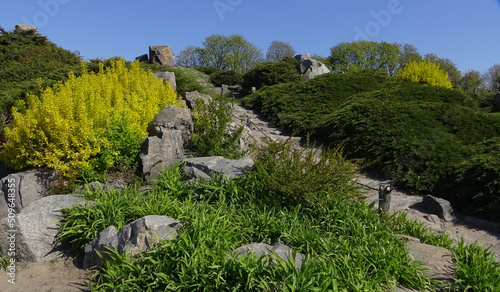 Landscape design. Hills with various kinds of plants and flowers  spring 2017  Botanical Garden  Ukraine