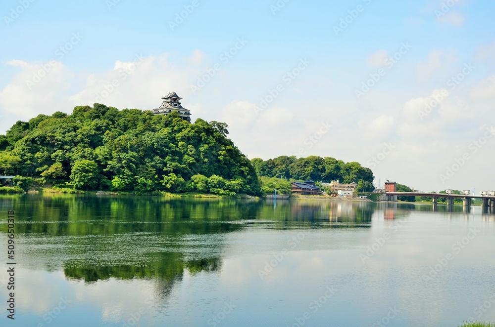 新緑の犬山城 天守閣と木曽川
