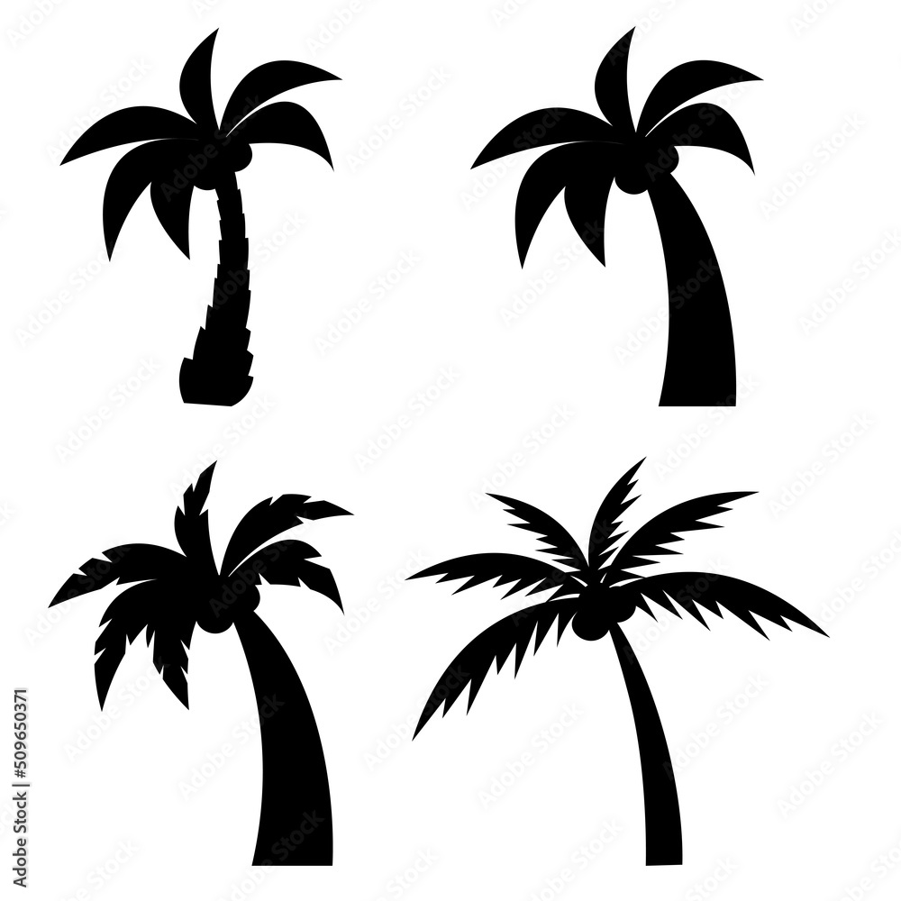 Set of different silhouettes of palm trees with coconuts. Isolated on white background.