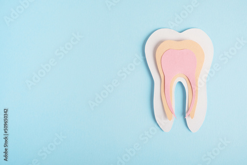 Tooth anatomy decorative model on light blue background. Dental health, dentistry concept, implanted teeth. Top view, flat lay, copy space