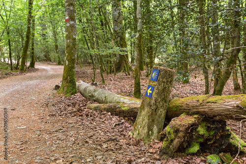 Way of St. James landmark. Roncesvalles. Navarrese Pyrenees photo