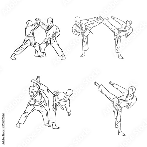 the vector illustration of the karate fighter photo