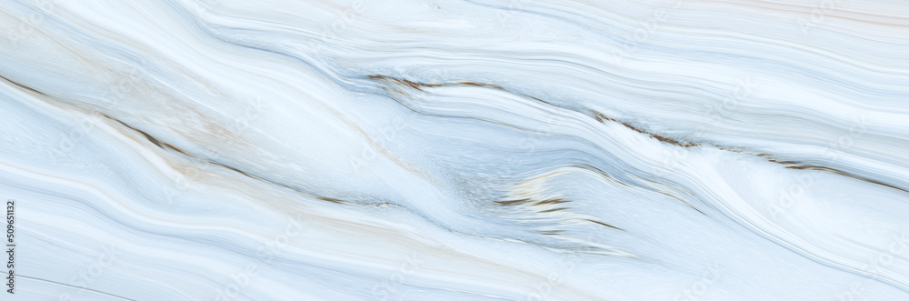 Obraz premium abstract white panorama and silver are light pattern gray with the gradient is the with floor wall metal texture soft tech diagonal background black dark clean modern.