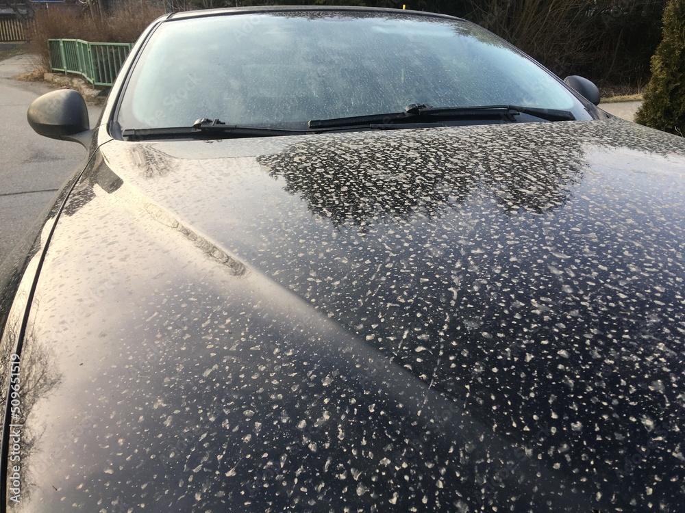 The detail of the remains of the desert dust on the car bonnet after the muddy rain. Not good for the varnish.  