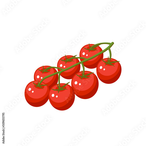 Cherry tomatoes branch. Vector illustration icon isolated on white background.