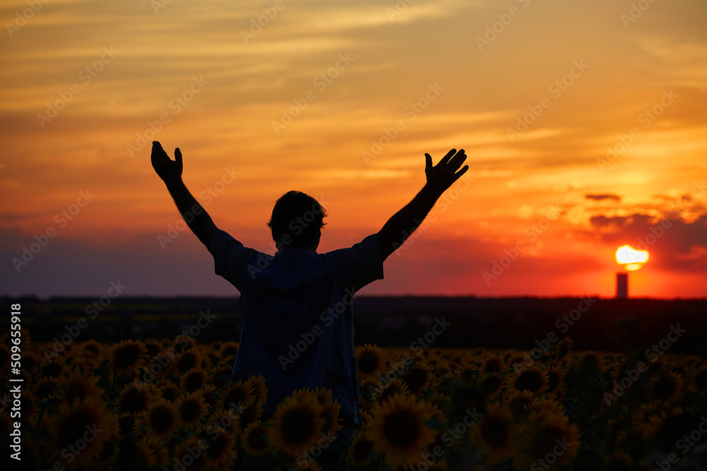 Fototapeta premium Silhouette of happy successful corn farmer in cornfield in sunset with arms raised in the air