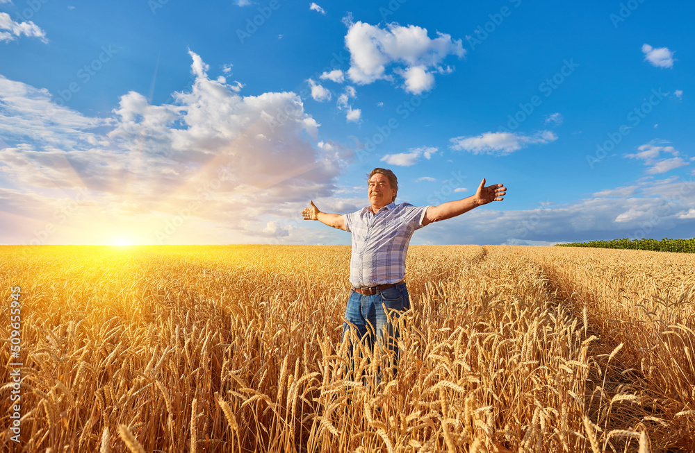 An adult man in a farm field among ripe cereals and raised his arms to the sides. An adult man in a farm field among ripe cereals and raised his arms to the sides.