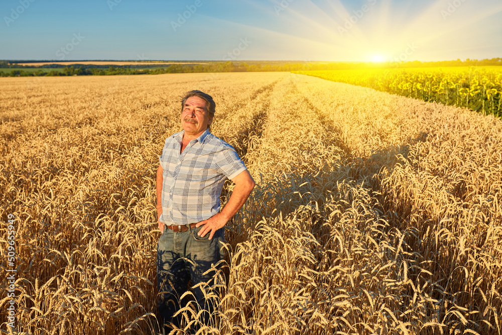 Happy farmer proudly standing in wheat field. Agronomist wearing corporate uniform, looking at camera on farmland.