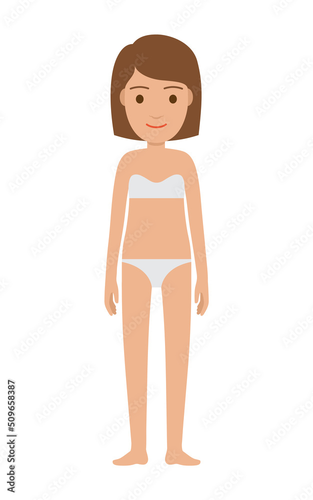 Woman body in swimming suit or underwear bra and pants, lady with brown hair standing calmly, female organism vector illustration isolated on white Woman body in swimming suit or underwear bra and pants, lady with brown hair standing calmly, female organism vector illustration isolated on white