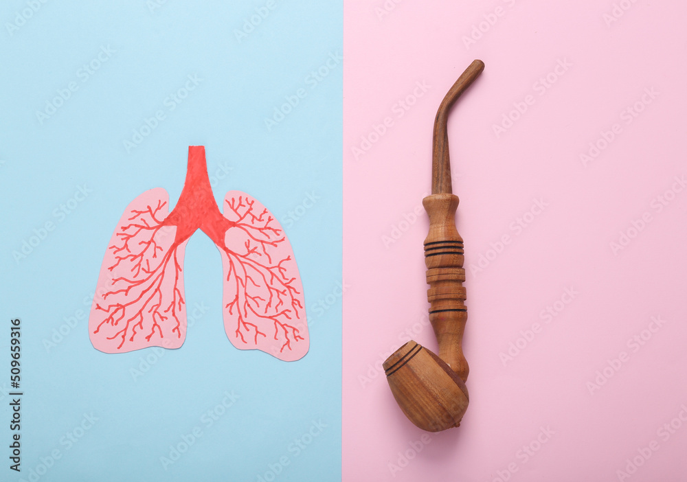 Harm of smoking on lung health concept. Anatomical lungs and smoking pipe on a bluepink pastel