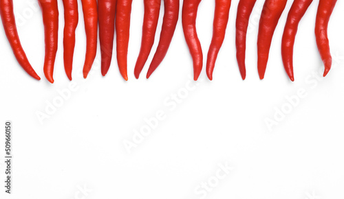 Red chili pepper isolated on white background with space for your text