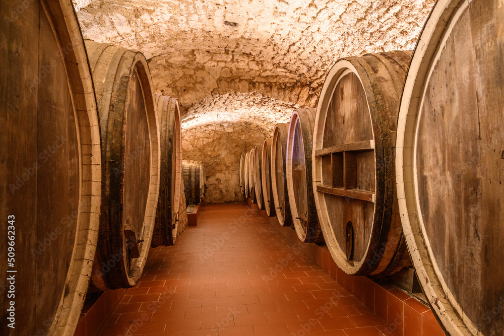 Vintage winery cellar with wine wooden barrels