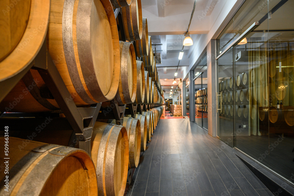 Modern winery cellar with wine wooden barrels and shops