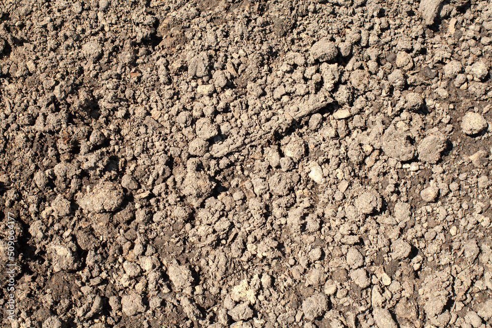 Close-up of organic soil texture.