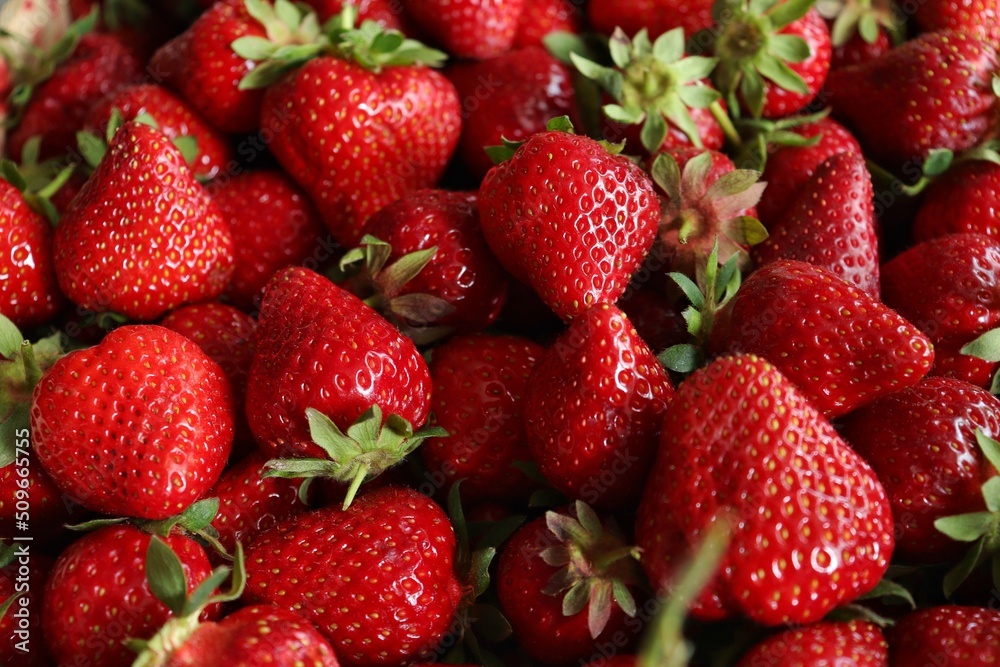 Top view of fresh red strawberries with green leaves. Berry basket. Berry background. Grocery store showcase. Menu of fresh berries and fruits. Grocery background. Bright colors. Red and green. Top view of fresh red strawberries with green leaves. Berry basket. Berry background. Grocery store showcase. Menu of fresh berries and fruits. Grocery background. Bright colors. Red and green.