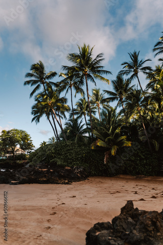 Beautiful Island Paradise Photo of Tropical Beach with Footprints in the Sand and Sun Rays Coming Through Bright Green Palm Trees in Maui Hawaii © Lucas