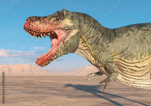 tyrannosaurus close up view on sunset desert © DM7