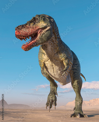 tyrannosaurus is in stand up pose on sunset desert © DM7